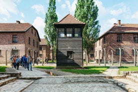 Frá Krakow: Leiðsögð ferð um Auschwitz-Birkenau & Hótel Pick-Up