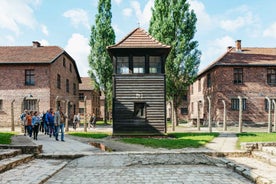 Krakow: Auschwitz-Birkenau Memorial Guided Tour & Pickup