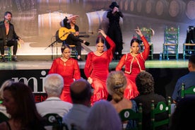 Estepona: Andalúsísk Flamenco Sýningarmiði með drykk