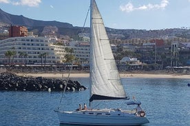 3-stündige Bootsfahrt von Costa Adeje auf Teneriffa