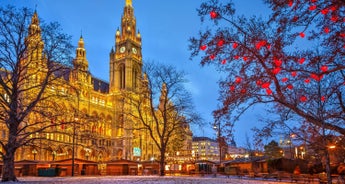 Danube Enchanting Christmas Markets 2025