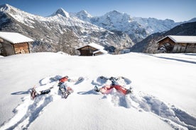 From Interlaken: Guided Snowshoe Tour around Isenfluh