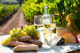 Dégustation de vins en petit groupe Côte de Beaune et Côte de Nuits