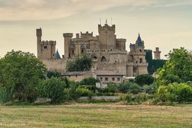 Visita il Palazzo reale di Olite e il villaggio medievale di Ujue in un tour per piccoli gruppi