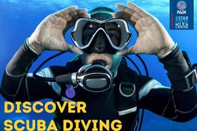 Discover Scuba Diving Experience in Turtle Habitat