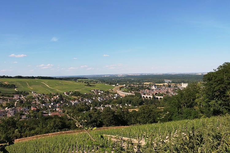 Sancerre, Loire, Vineyard.jpg