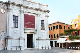 Private 2-hour Walking Tour of Accademia Gallery in Venice with private guide