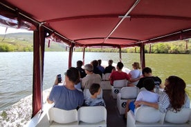 1-hour boat trip along the Douro River in Pinhão