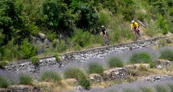 The Dalmatian Coast Classic-Croatia  guided Bike Tour