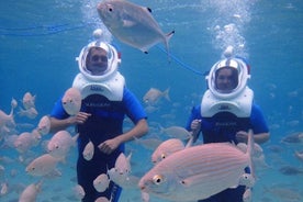 40-minütige Lanzarote Sea Trek-Taucherfahrung