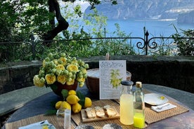 Visite guidée de l'histoire et de la tradition du citron de Sorrente