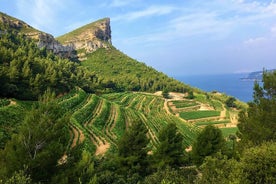 Tour del vino di un'intera giornata intorno a Bandol e Cassis di Marsiglia