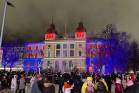 Oulu: City Tour