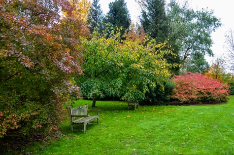 Photo of Cambridge University Botanic Garden, England.