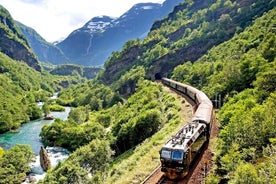 Spécial croisière: voyage privé dans les canyons et les cascades avec le chemin de fer de Flåm