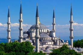 Historische tour door Istanbul met gids, lunch en transfers