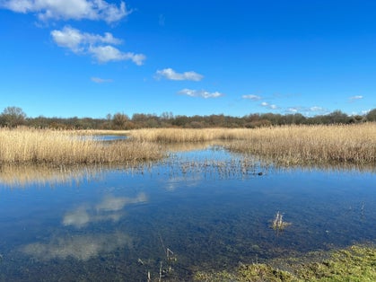 photo of Kromslootpark natural area in the Dutch city of Almere, the Netherlands.