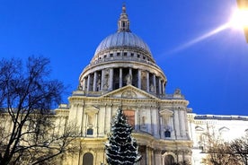 Pacote de excursão de 2 dias em Londres com famílias inglesas