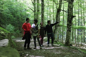 Caminata de medio día por el Camino de Santiago desde San Sebastián a San Pedro, traslado de vuelta incluido