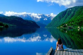 Bergen: viaggio privato di andata e ritorno di un'intera giornata all'Hardangerjord con crociera