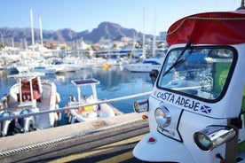 Tours per tuktuk — Costa Adeje