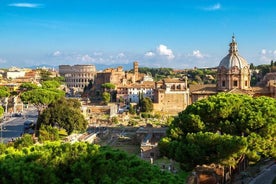 Rome in a day: Imperial&Vatican Path - from Civitavecchia pier - private tour