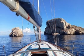 Entdecke Ibiza bei einem Segelboot Ausflug