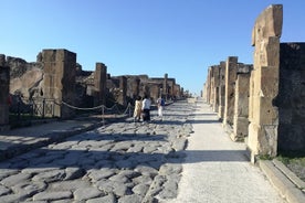 Private Tour with Official Guide through the wonders of Pompeii.