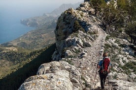 Gljúfur í Valldemossa, í hjarta Tramuntana