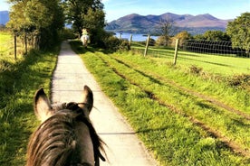 Kerry: Guided Horse Riding Tour in Killarney National Park