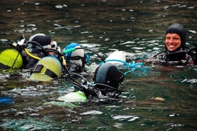 Lissabon Eco-Try Dive - Köfunarskírn