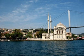 Bosphorus and Black Sea Half-Day Cruise from Istanbul Included Guide and Lunch