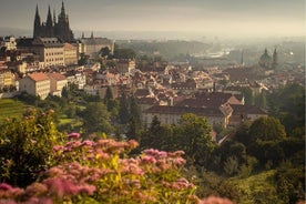 5 pays en 9 jours : Prague, Vienne, Venise et Slovénie, Croatie