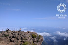 크리스토 레이(Cristo Rei), 아리에이로 피크(Arieiro Peak) 및 산토 다 세라(Santo da Serra) 4x4 체험