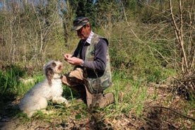 Caça às trufas com degustação de vinhos em Chianti