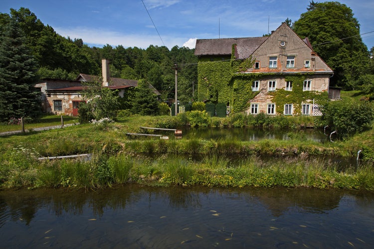 An overgrown house in Peklo at the river Zdobnice, Hradec Králové Region, Czech Republic, Europe