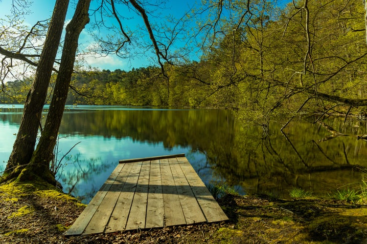 photo of view of Jetty on the Czajcze lake in the wild forest Poland Wisełka, Wolin National Park