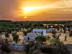 Casa Barzò - surrounded by olive trees