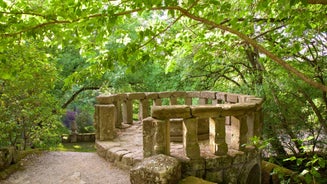 Viterbo - city in Italy