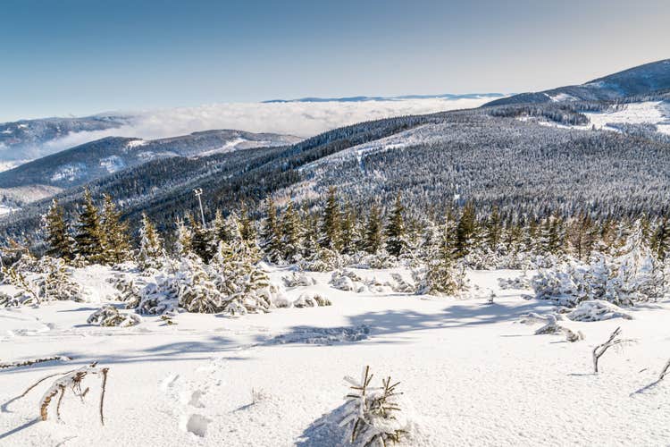 Todtnau in winter