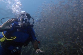 Tour de buceo en Bodrum con traslado gratuito al hotel por lugareños