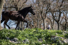 Martina Franca rafhjólaferð. Heimsóttu ræktunar- og mjólkurbú