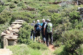 Smågruppe guidet fottur i Andros med piknik på stranden