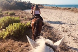 Passeios a cavalo em uma reserva natural de Salento com transferência de Lecce