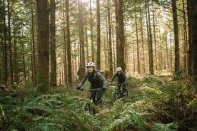 Excursions guidées d'une journée en vélo électrique Dorset