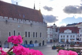 Tallinn Town Hall with a guide