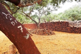 선택적인 점심 식사와 함께 Alentejo Cork Forest를 걸어보세요