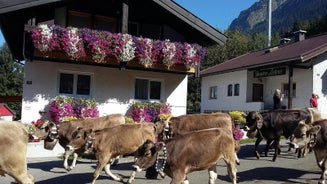 Ferienwohnung Schanzenblick