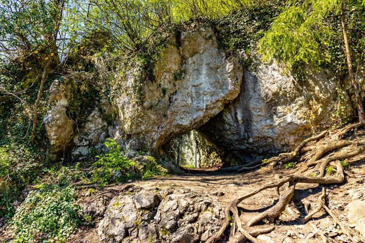 Jaskinia Raj Chęciny Poland