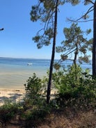 Villa dans la pinède, au calme à proximité du lac et des plages, jusqu'à 7 personnes